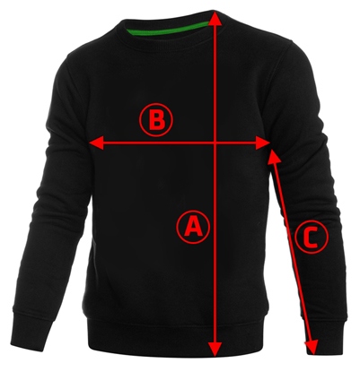 bluza